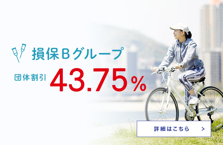 損保Bグループ団体割43.75%